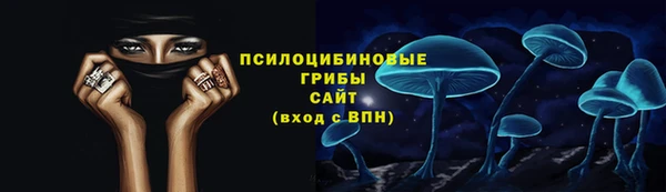 экстази Шадринск