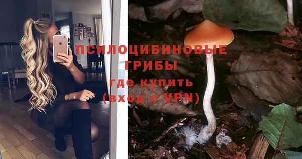 экстази Шали