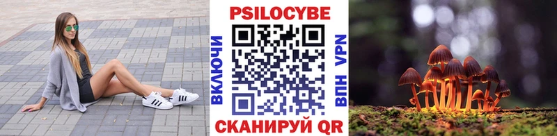 Галлюциногенные грибы Cubensis  Петропавловск-Камчатский 