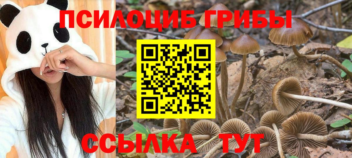 Галлюциногенные грибы ЛСД Петропавловск-Камчатский