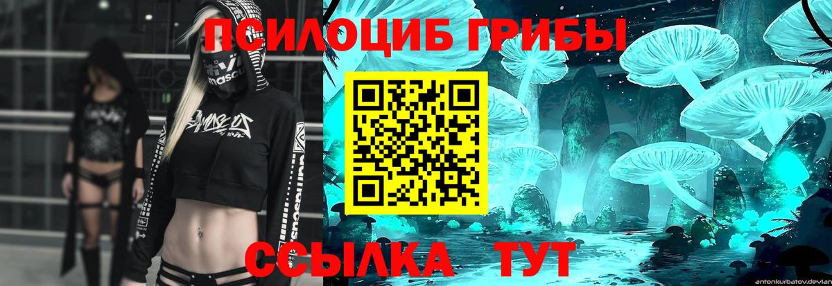 Галлюциногенные грибы мицелий  сколько стоит  Вход с VPN  Петропавловск-Камчатский  Галлюциногенные грибы ЛСД 
